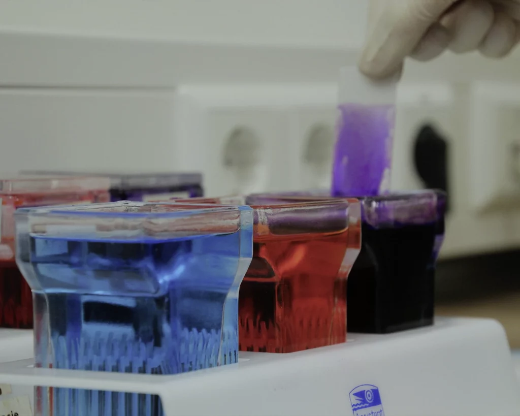 ReproVet_Emstal_Galerie_006