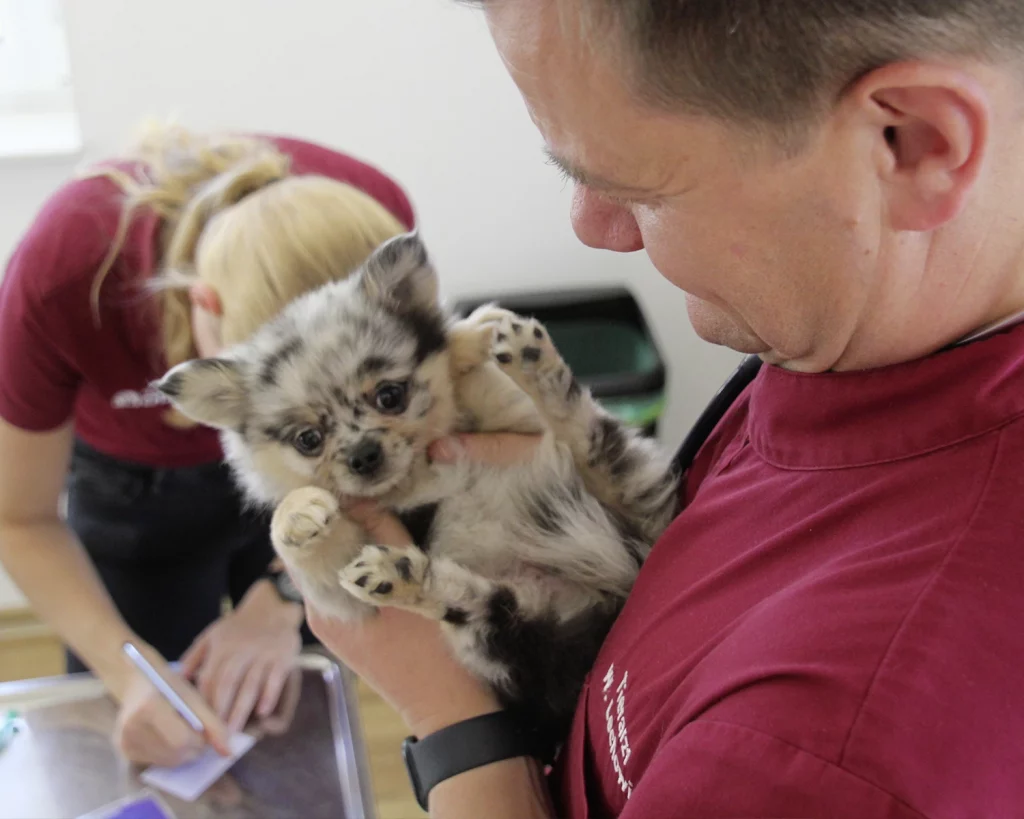 ReproVet_Emstal_Galerie_012